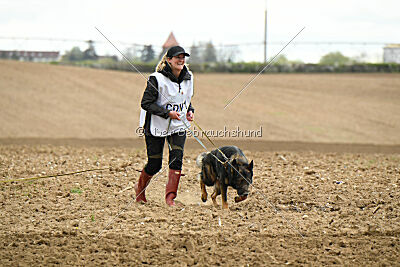 Yaro von Lindesfarne