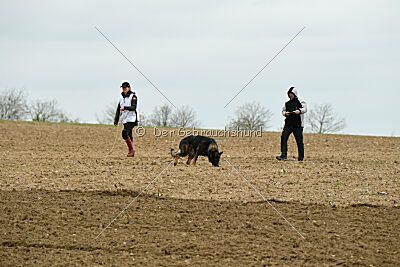 Yaro von Lindesfarne