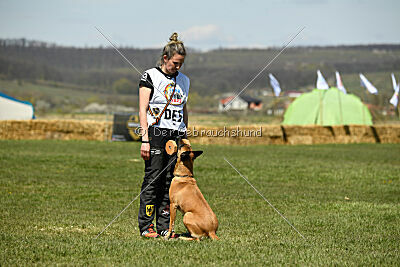 Yes Of Course von der Steinteichmühle