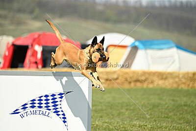 Yes Of Course von der Steinteichmühle