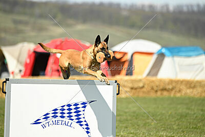 Yes Of Course von der Steinteichmühle
