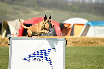 Yes Of Course von der Steinteichmühle