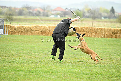 Yes Of Course von der Steinteichmühle