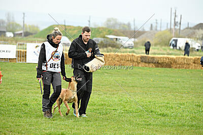 Yes Of Course von der Steinteichmühle