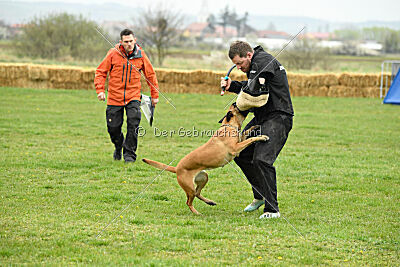 Yes Of Course von der Steinteichmühle