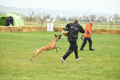 Yes Of Course von der Steinteichmühle