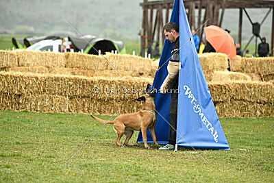 Yes Of Course von der Steinteichmühle