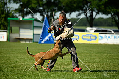 Yes of Course von der Steinteichmühle