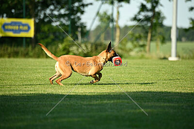 Yes of Course von der Steinteichmühle