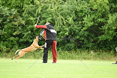 Yes of course von der Steinteichmühle