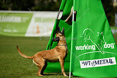 Yes of course von der Steinteichmühle