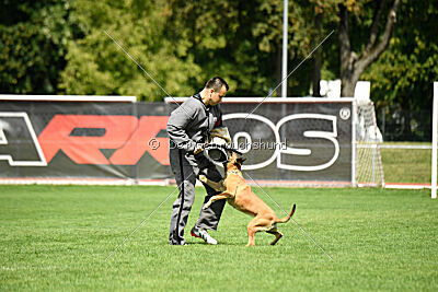 Yes of course von der Steinteichmühle