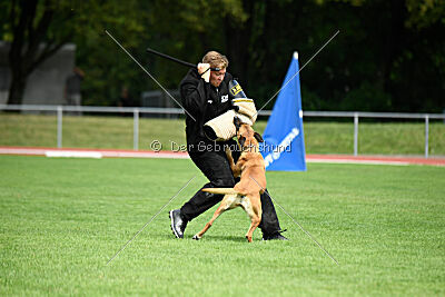 Yes of course von der Steinteichmühle