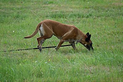 Yes of course von der Steinteichmühle