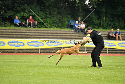 Yes of course von der Steinteichmühle