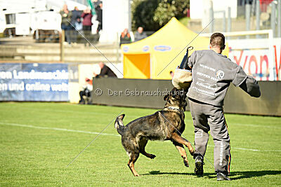 Yoggi aus der Königshöhle