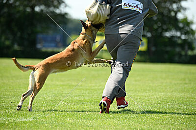 Yuma Airport Hannover