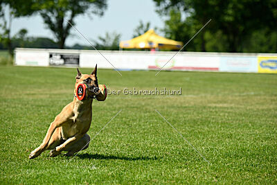 Yuma Airport Hannover