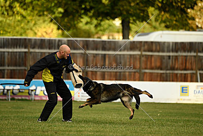 Yustav Wilhelm vom Gleisdreieck 
