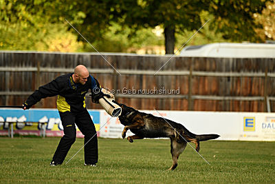 Yustav Wilhelm vom Gleisdreieck 