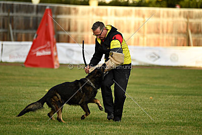 Yustav Wilhelm vom Gleisdreieck 