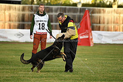 Yustav Wilhelm vom Gleisdreieck 