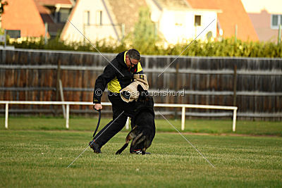 Yustav Wilhelm vom Gleisdreieck 