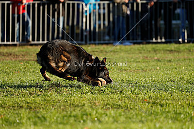 Yustav Wilhelm vom Gleisdreieck