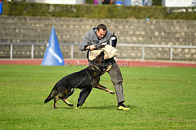 Yustav Wilhelm vom Gleisdreieck