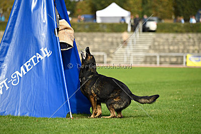 Yustav Wilhelm vom Gleisdreieck