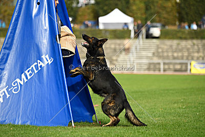 Yustav Wilhelm vom Gleisdreieck