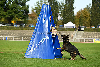 Yustav Wilhelm vom Gleisdreieck