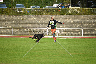 Yustav Wilhelm vom Gleisdreieck