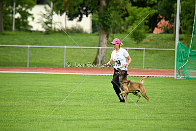 Zack vom Further Moor