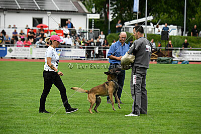 Zack vom Further Moor