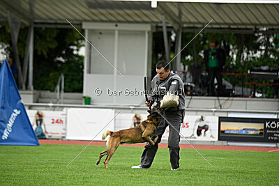 Zack vom Further Moor