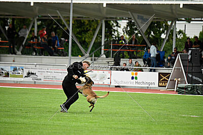 Zack vom Further Moor