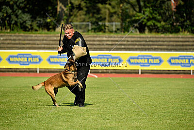 Zack vom Further Moor