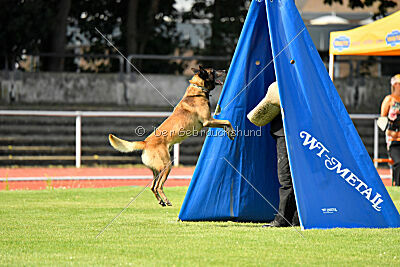 Zack vom Further Moor