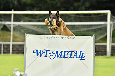 Zack vom Further Moor