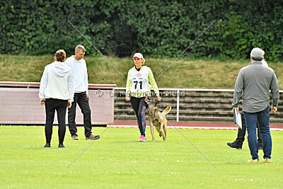 Zack vom Further Moor