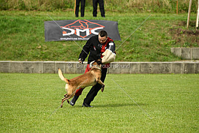 Zack vom Further Moor