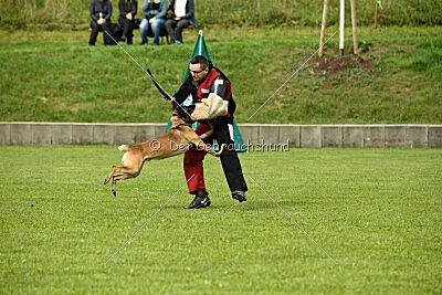 Zack vom Further Moor