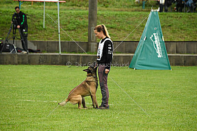 Zack vom Further Moor