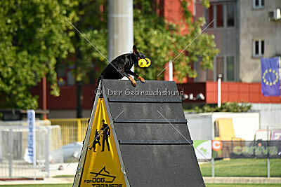 Zaphira Zombie Alary Aslar