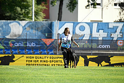 Zaphira Zombie Alary Aslar