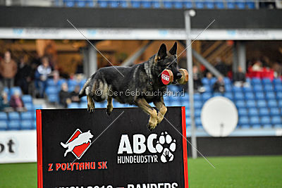 Zeus vom Schloss Solitude