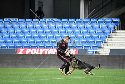 Zeus vom Schloss Solitude