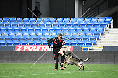 Zeus vom Schloss Solitude