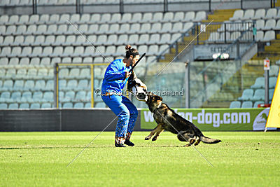 Zeus vom Schloß Solitude